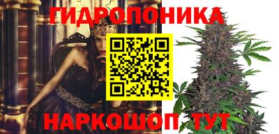 стаф Абакан