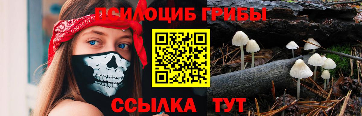 Псилоцибиновые грибы мухоморы  Вход с VPN  Альметьевск  Псилоцибиновые грибы Psilocybe 